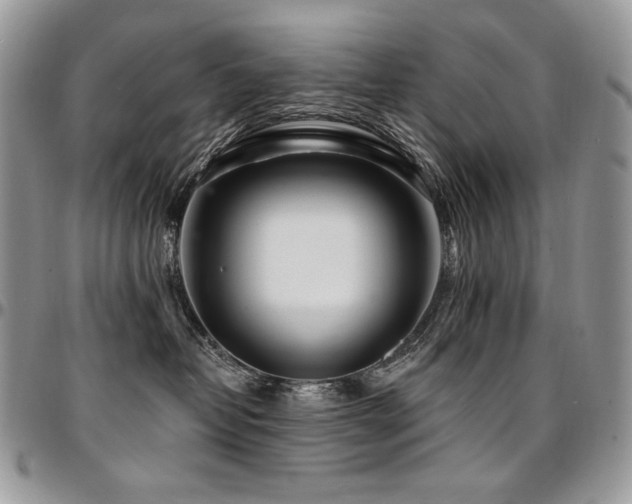 X0000095130382200712071313