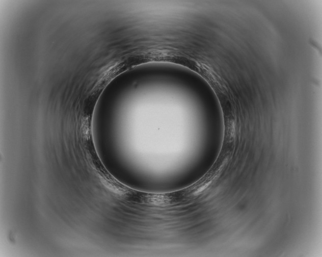 X0000095130383200712071313