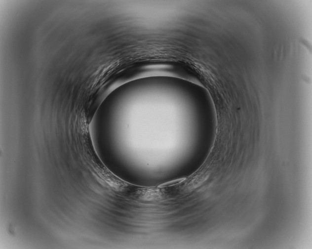 X0000095130384200712071313