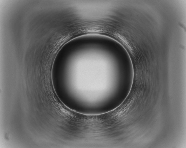 X0000095130385200712071313