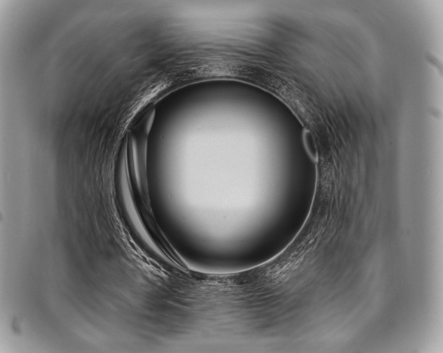 X0000095130386200712071313