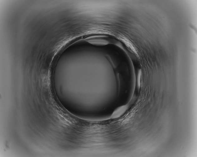 X0000095130387200712071313