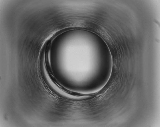 X0000095130388200712071313