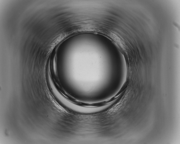 X0000095130389200712071313