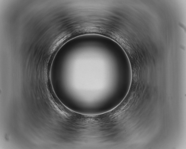 X0000095130390200712071313