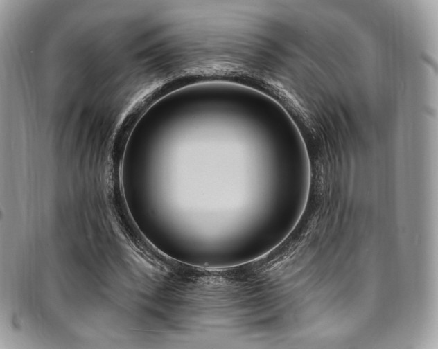 X0000095130392200712071313