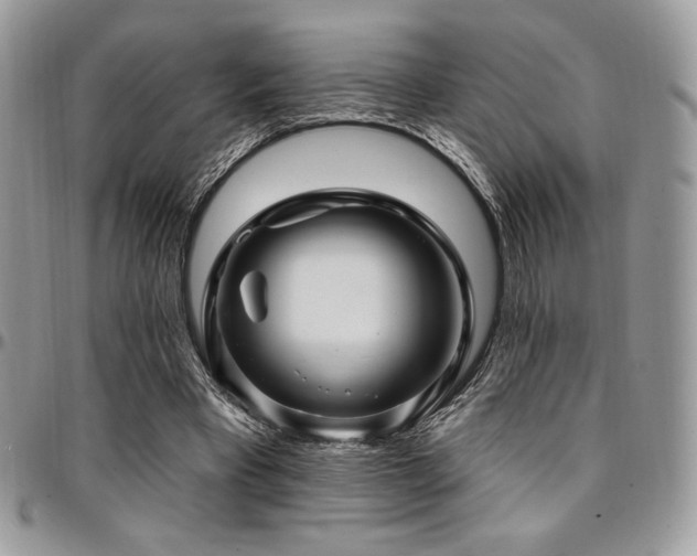 X0000095130393200712071313