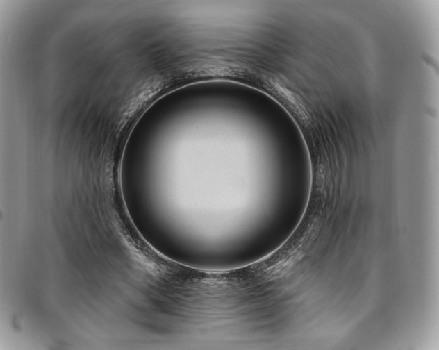 X0000095130394200712071313