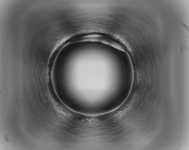 X0000095130395200712071313