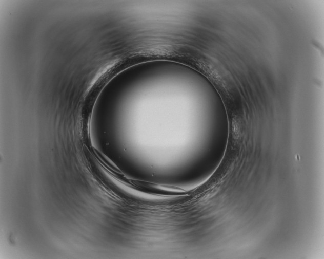 X0000095130396200712071313