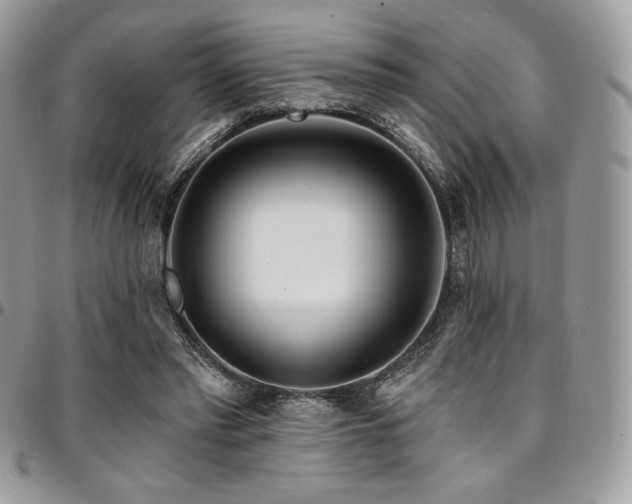 X0000095130397200712071313