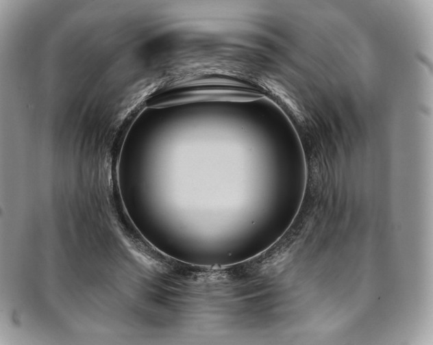 X0000095130398200712071313