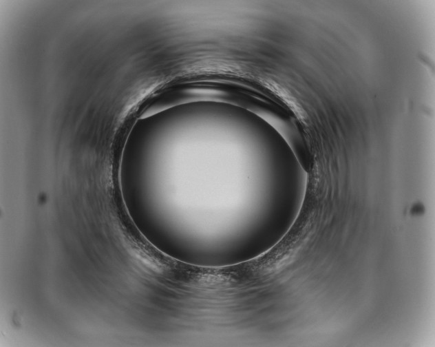 X0000095130399200712071313