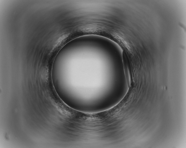 X0000095130400200712071313