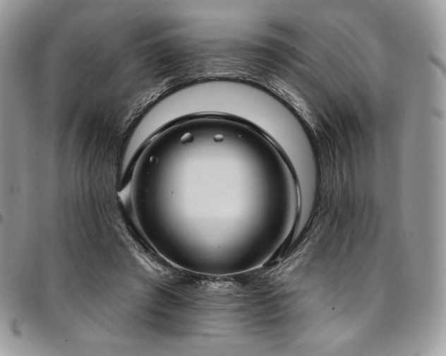 X0000095130401200712071313