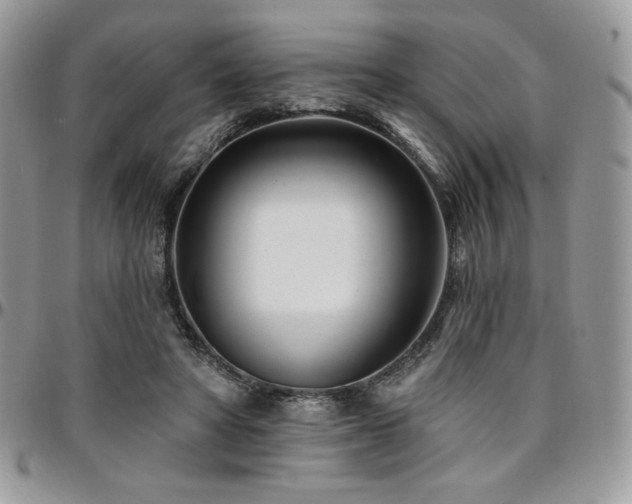 X0000095130402200712071313