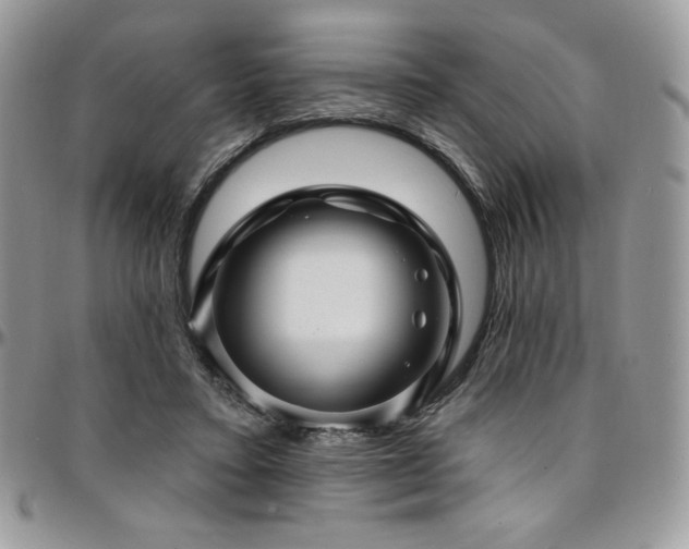 X0000095130403200712071313