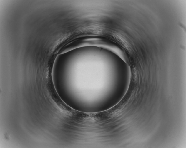 X0000095130404200712071313