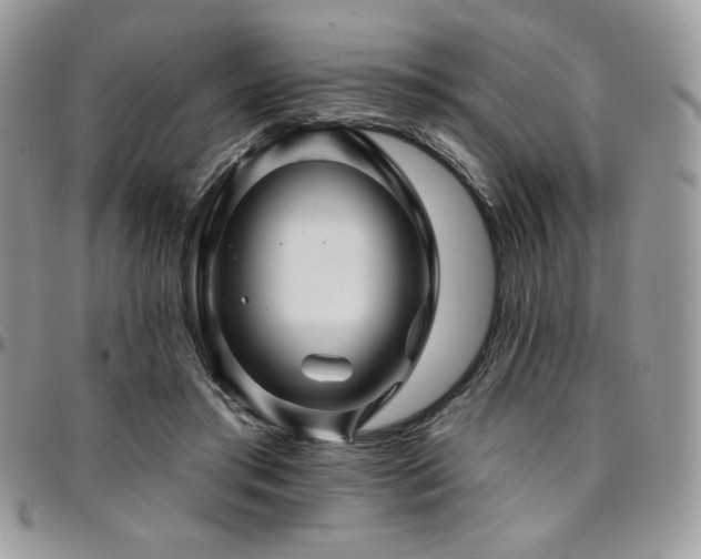 X0000095130405200712071313