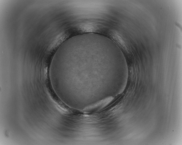 X0000095130406200712071313