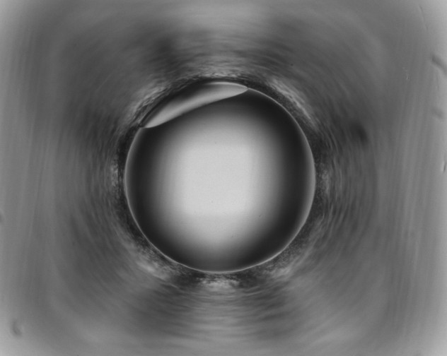 X0000095130407200712071313