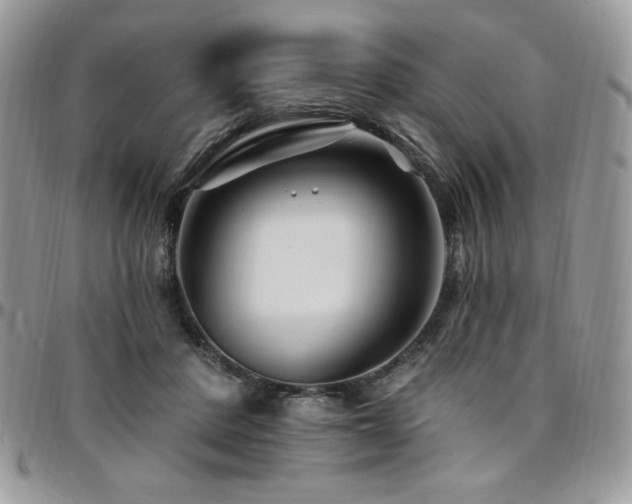 X0000095130408200712071313