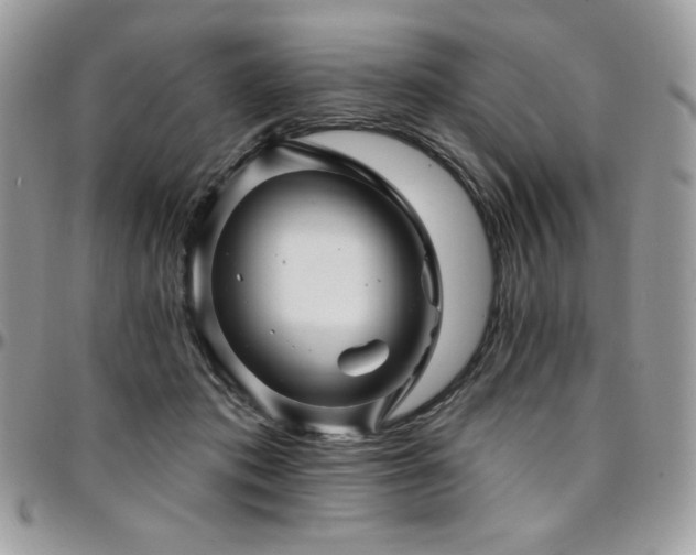 X0000095130413200712071312