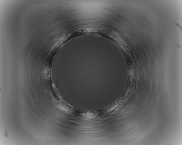 X0000095130419200712071312