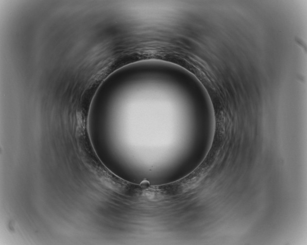 X0000095130420200712071312