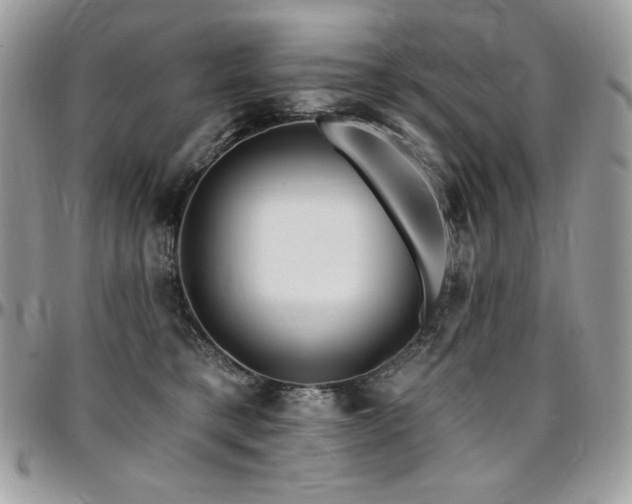 X0000095130421200712071312