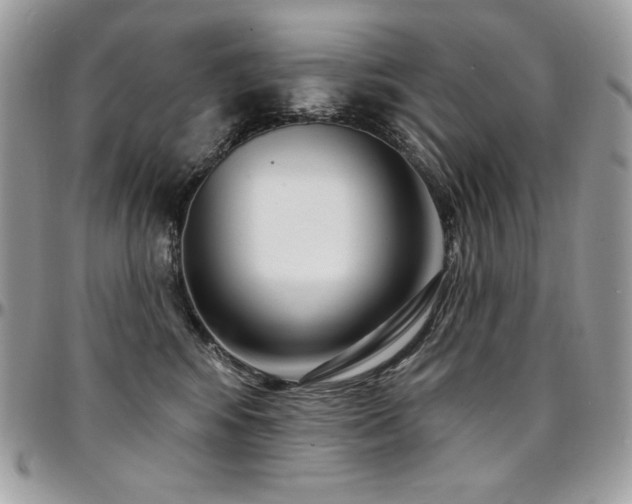 X0000095130424200712071312