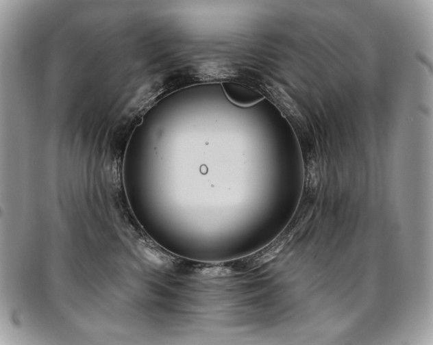 X0000095130426200712071312