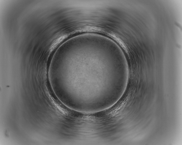 X0000095130437200712071312