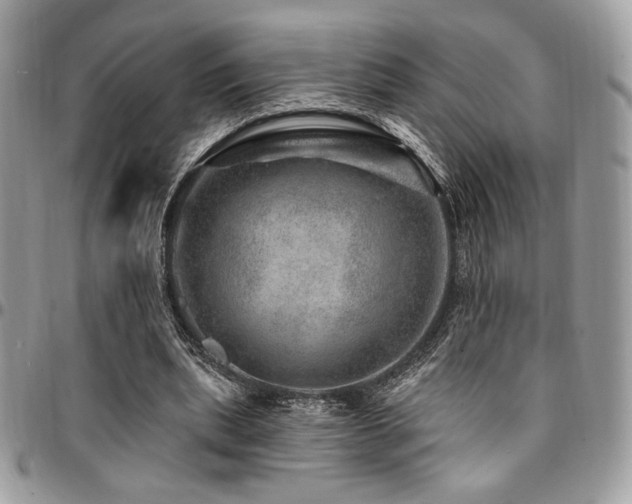 X0000095130439200712071312