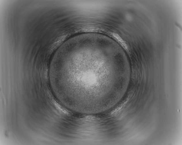 X0000095130441200712071312