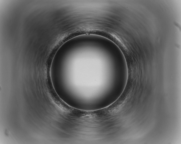 X0000095130447200712071312