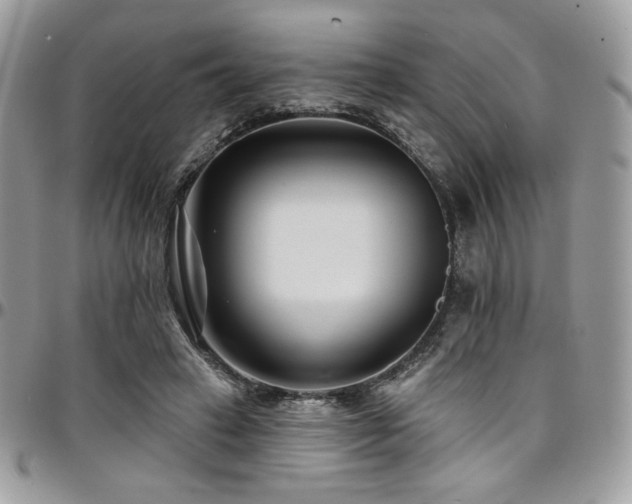 X0000095130449200712071312