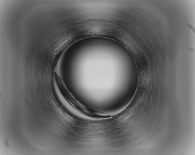 X0000095130450200712071312