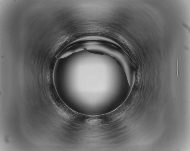 X0000095130452200712071312