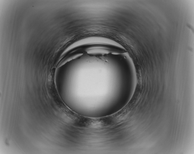 X0000095130456200712071312