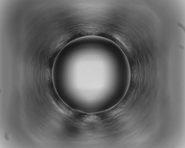 X0000095130459200712071312