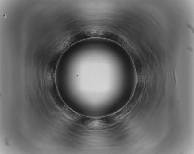 X0000095130460200712071312