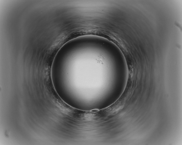 X0000095130462200712071312