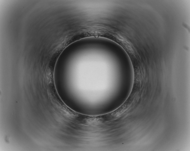 X0000095130465200712071312