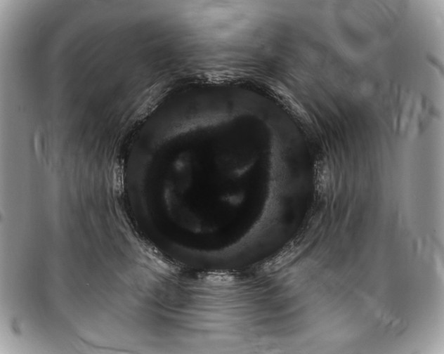 X0000095130471200712071312