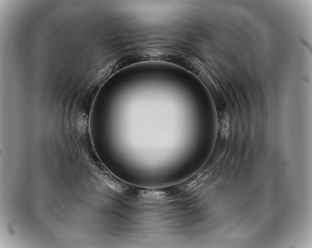 X0000095130476200712071312