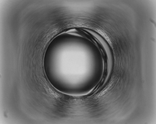 X0000095130481200712071312