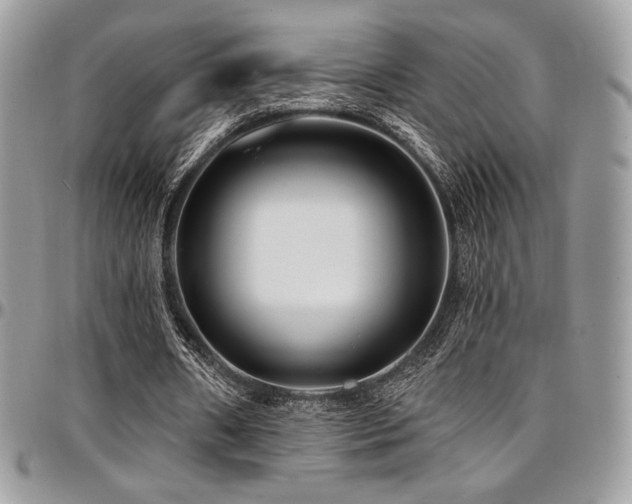 X0000095130482200712071311