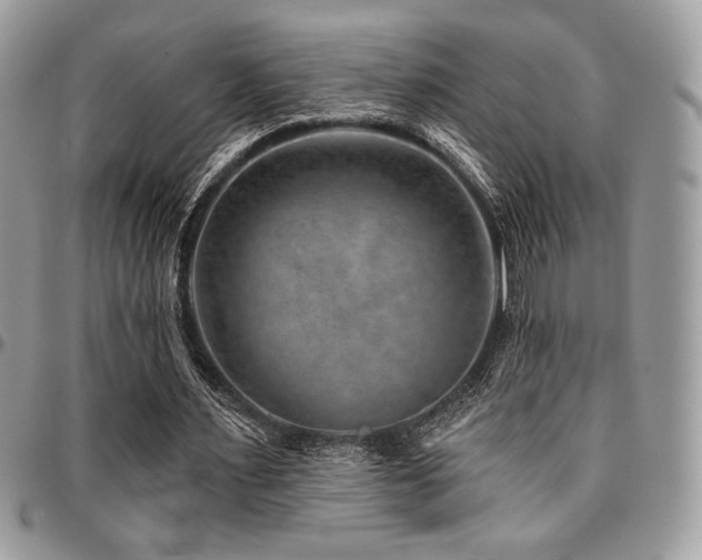 X0000095130483200712071311