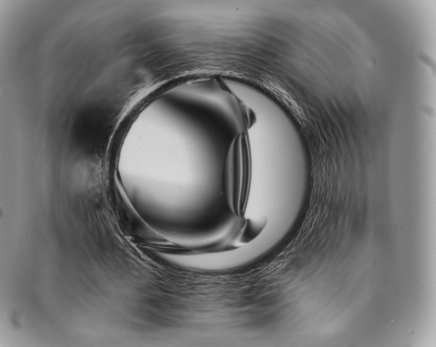 X0000095130484200712071311